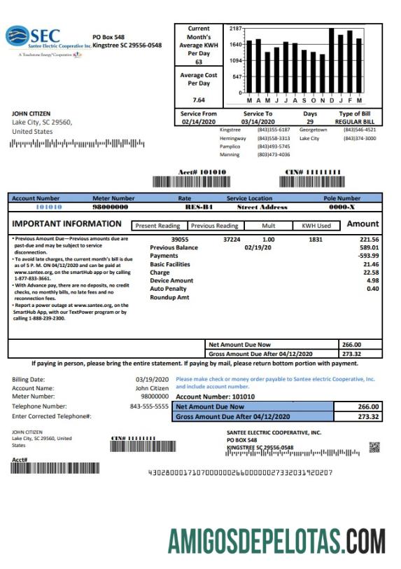 Em branco modelo de comprovante de endereço da Cooperativa Elétrica Santee Electric Cooperative (SEC) dos EUA, Carolina do Sul, em formato Word e PDF